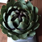 Profile Picture of Francis Nault (@Francis-Nault) on Facebook