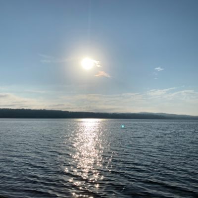 Profile Picture of ibrahim chami (@ibrahimchami) on Twitter