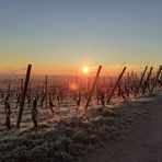 Profile Picture of Anne Remetter (@anne.remetter.52) on Facebook