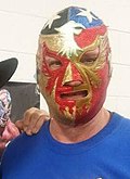 Profile Picture of The Patriot (wrestler)on Wikipedia