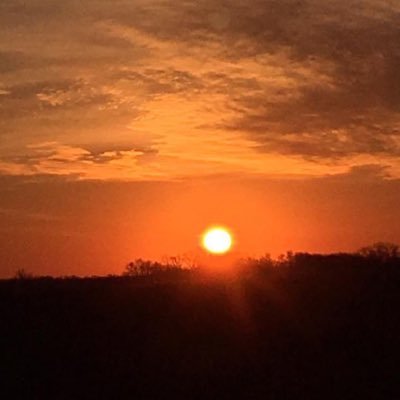 Profile Picture of Corey Collette (@CoreyCollette4) on Twitter