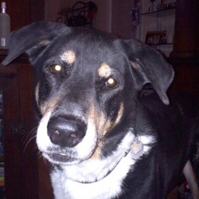 Profile Picture of Phillip Larsen (@AgadorsDaddy) on Twitter