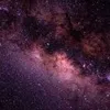 Profile Picture of Phyllis Mandel (@c.phyllism) on Tiktok