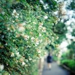 Profile Picture of TAD (@tadsportrait) on Instagram