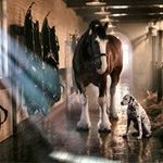 Profile Picture of Lisa Van Gemert Nicklas (@lisanicklas) on Instagram