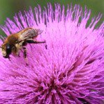 Profile Picture of Greenlee (@greenleemarcusb) on Instagram