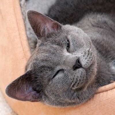 Profile Picture of John Lancaster (@JohnLHeating) on Twitter