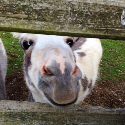 Profile Picture of Ben Arnold (@BenArno98) on Twitter