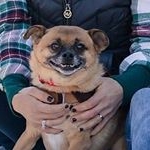 Profile Picture of chuck gallo (@gallo.chuck) on Instagram