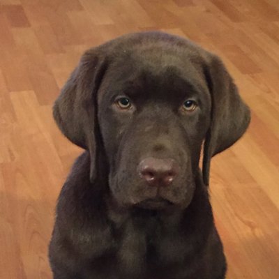 Profile Picture of Steve Hiner (@shiner868) on Twitter