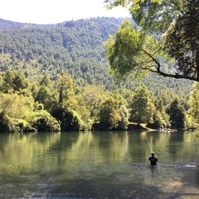 Profile Picture of Jose Urzua (@joseurzua22) on Twitter