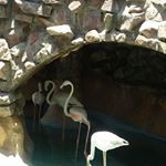 Profile Picture of Hussein Adam (@hussein.adam.528) on Instagram