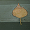 Profile Picture of Carly Gill (@carly gill photography) on Flickr