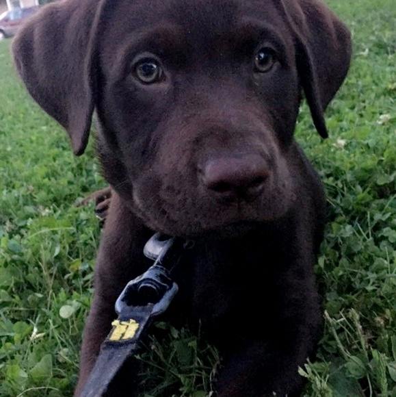 Profile Picture of Alyson Bates (@alyson1108) on Poshmark