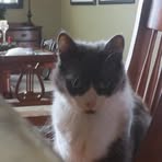 Profile Picture of Joyce Neufeld (@joyce.neufeld.102) on Facebook