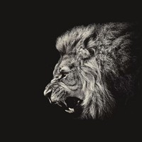 Profile Picture of Robert Chernin (@robert-chernin) on Quora