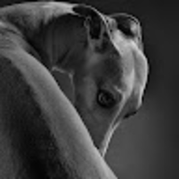 Profile Picture of Ksenia M (@oh_ksenia) on Poshmark