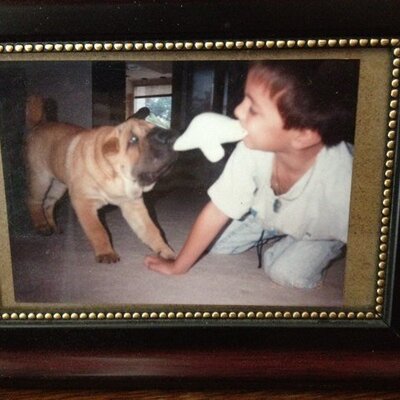 Profile Picture of Jon Gottlieb (@Gottmilk888) on Twitter