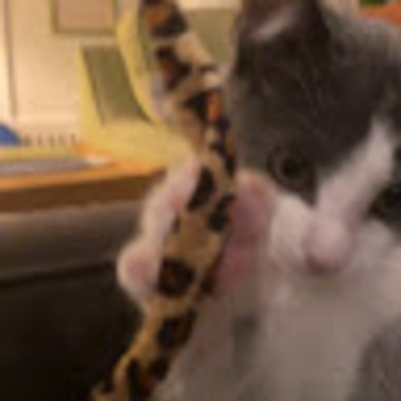 Profile Picture of Charles Resker (@23cresker) on Poshmark