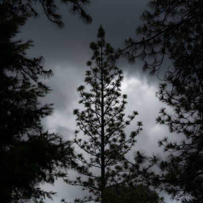 Profile Picture of Andrew Derek (@AndrewDerr7) on Twitter