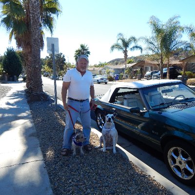 Profile Picture of Joe Krol (@Columbus173) on Twitter