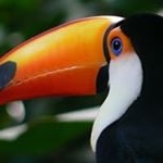 Profile Picture of Teodoro Espinal Pineda (@teodoroespinalpineda) on Instagram