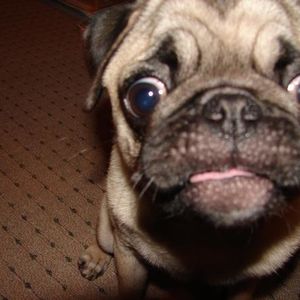 Profile Picture of Lily Edwards (@lilyvelouria) on Myspace