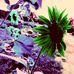 Profile Picture of Matthew Briscoe (@matthew.briscoe.5686) on Facebook