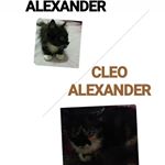 Profile Picture of maxime cleo alexander (@maximecleoalexander) on Instagram