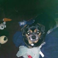 Profile Picture of Joyce Gregory (@joycegregory1960) on Pinterest
