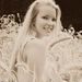 Profile Picture of Abby Gibbs (@abbyrgibbs) on Pinterest
