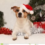 Profile Picture of Eugene Boesch (@eugene.boesch.1) on Facebook