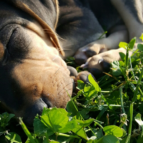 Profile Picture of Calyee Lugo (@calyee) on Poshmark