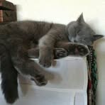 Profile Picture of Agata Zwierzolub Chmiel (@agata.soltysiak.3) on Facebook