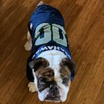 Profile Picture of Torey Azure (@motoazure) on Instagram