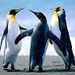 Profile Picture of Jean Carlos Noguera Stelling (@jcns2615) on Pinterest