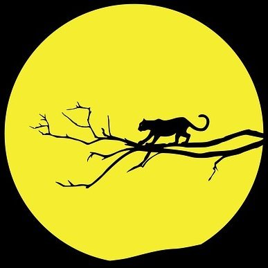 Profile Picture of Daniel Mundt (@TheMundt) on Twitter