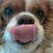 Profile Picture of Robin Hancock (@rondarh) on Pinterest