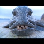 Profile Picture of jamesdejong (@jamesdejong) on Instagram