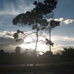 Profile Picture of Alonso Sáenz Montaño (@alonsosaenzmontano) on Instagram