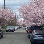 Steve Donaldson - Instagram Profile Picture of Steve Donaldson (@stevedonaldson73) on Instagram