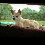 Profile Picture of Betty Fritchie Risser (@risserbetty) on Instagram