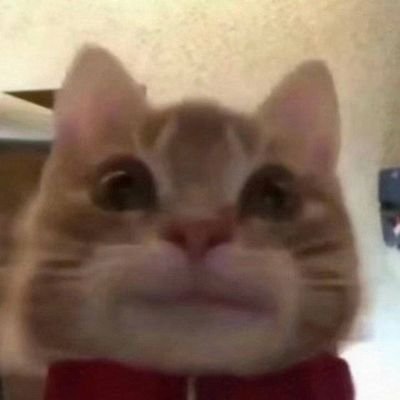 Profile Picture of Stacy Manning (@StacyMa96329165) on Twitter