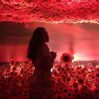 Profile Picture of Caetano (@felicialima) on Instagram