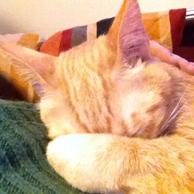 Profile Picture of Evangeline Watson (@EvieWatson29) on Twitter