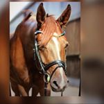 Profile Picture of Dennis 12 years old (@dennis_.schmitz) on Instagram