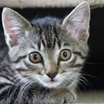 Profile Picture of Christof Teelen (@christofteelen) on Instagram