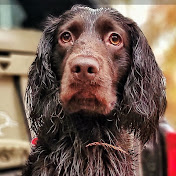 Profile Picture of Brad Caudle (@77caudle) on Youtube