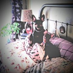 Profile Picture of scottrolfs1 (@scottrolfs1) on Tiktok