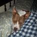 Profile Picture of Bruce Michelson (@bruce.michelson.90) on Facebook